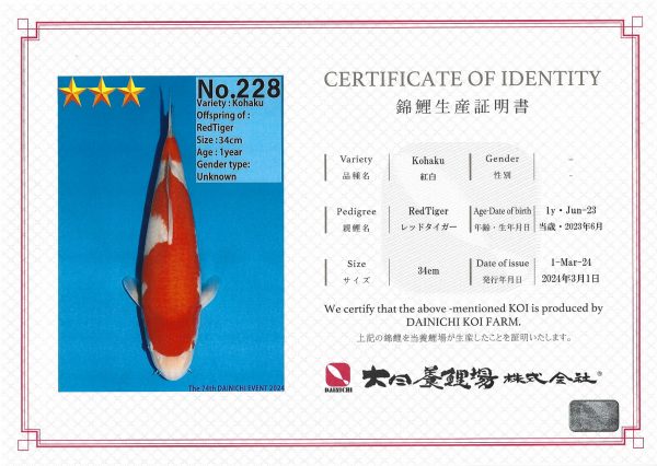 Dainichi Jumbo Tosai Kohaku No228 Certificate