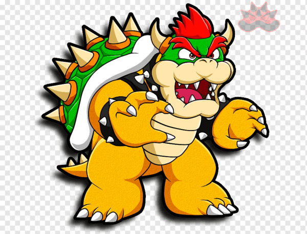 Koopa király csiga (Neritina juttingae) - Image 2