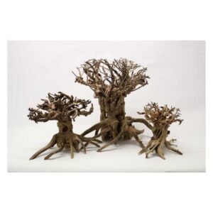 Mammoth Bonsai S