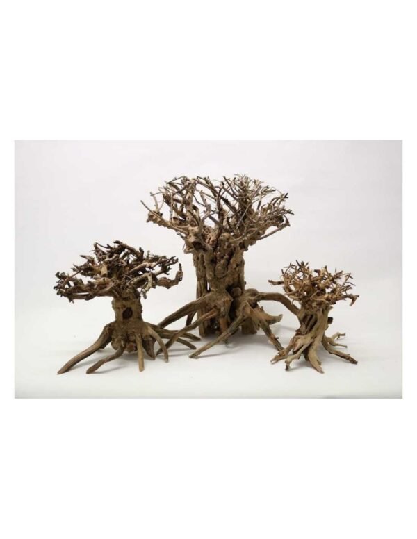 Mammoth Bonsai S