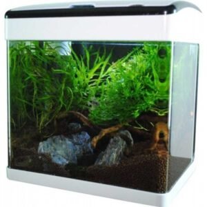 Aqua Nova NT-32 akvárium szett 32 liter fehér-fekete